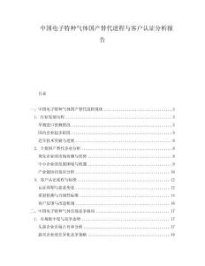 中國電子特種氣體國產(chǎn)替代進程與客戶認證分析報告