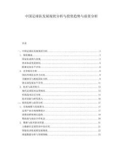 中國足球隊(duì)發(fā)展現(xiàn)狀分析與投資趨勢(shì)與前景分析