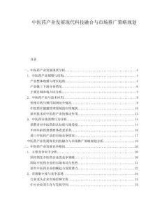 中醫(yī)藥產(chǎn)業(yè)發(fā)展現(xiàn)代科技融合與市場(chǎng)推廣策略規(guī)劃