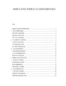 玻璃杯行業(yè)網(wǎng)紅營(yíng)銷模式與社交媒體傳播研究報(bào)告