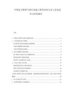 中國電子特種氣體行業(yè)進口替代空間與本土企業(yè)競爭力評估報告