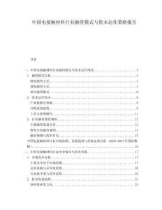 中國電接觸材料行業(yè)融資模式與資本運作策略報告