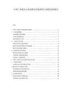 中國工業(yè)級無人機巡檢業(yè)務標準化與保險承保報告