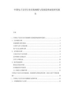中國(guó)電子支付行業(yè)市場(chǎng)規(guī)模與發(fā)展趨勢(shì)深度研究報(bào)告