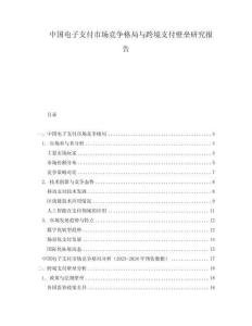 中國(guó)電子支付市場(chǎng)競(jìng)爭(zhēng)格局與跨境支付壁壘研究報(bào)告