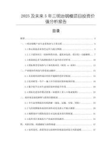 2025及未來5年三明治鋼模項目投資價值分析報告