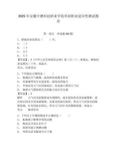 2025年安徽中澳科技職業(yè)學(xué)院單招職業(yè)適應(yīng)性測試題庫帶答案詳解（奪分金卷）