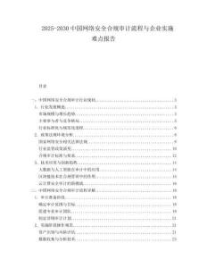 2025-2030中國(guó)網(wǎng)絡(luò)安全合規(guī)審計(jì)流程與企業(yè)實(shí)施難點(diǎn)報(bào)告