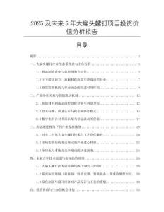 2025及未來5年大扁頭螺釘項目投資價值分析報告