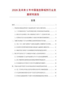 2026及未來5年中國液態除垢劑行業發展研究報告