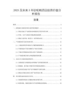 2025及未來5年砂輪柄項(xiàng)目投資價(jià)值分析報(bào)告