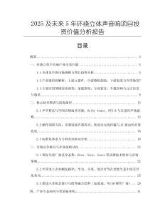 2025及未來5年環繞立體聲音響項目投資價值分析報告