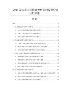 2025及未來5年保溫棉板項目投資價值分析報告
