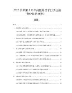 2025及未來5年中間包滑動水口項目投資價值分析報告