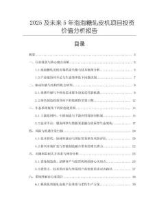 2025及未來5年泡泡糖軋皮機項目投資價值分析報告