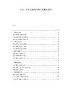 智慧燈桿多功能集成與運(yùn)營(yíng)模式報(bào)告