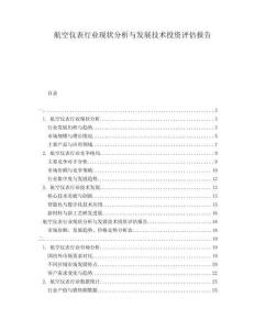 航空儀表行業(yè)現(xiàn)狀分析與發(fā)展技術(shù)投資評(píng)估報(bào)告