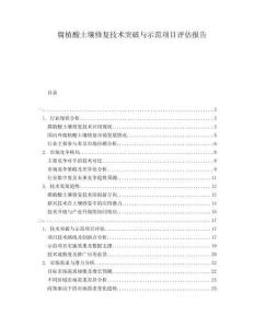 腐植酸土壤修復(fù)技術(shù)突破與示范項(xiàng)目評估報(bào)告