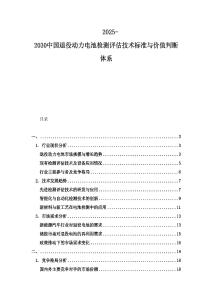 2025-2030中國(guó)退役動(dòng)力電池檢測(cè)評(píng)估技術(shù)標(biāo)準(zhǔn)與價(jià)值判斷體系