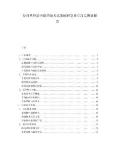 經(jīng)自然腔道內(nèi)鏡消融術(shù)式器械研發(fā)難點攻克進展報告