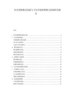 社區(qū)團(tuán)購(gòu)模式創(chuàng)新與下沉市場(chǎng)消費(fèi)潛力挖掘研究報(bào)告