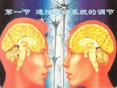 生物、必修3通過神經系統的調節上課