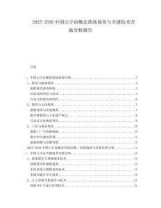 2025-2030中國(guó)元宇宙概念落地場(chǎng)景與關(guān)鍵技術(shù)突破分析報(bào)告
