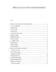 鎳基合金企業(yè)ESG表現(xiàn)與可持續(xù)發(fā)展分析報告
