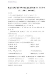 黑龍江省齊齊哈爾市齊市地區(qū)普通高中聯(lián)考2025-2026學(xué)年高二上學(xué)期11月期中考試化學(xué)試題