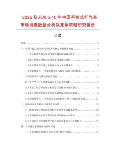 2025及未來5-10年中國手槍式打氣表市場調(diào)查數(shù)據(jù)分析及競爭策略研究報告