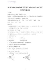 浙江省溫州市高鑠杯聯(lián)盟2024-2025學年高一上學期12月學情調(diào)研聯(lián)考化學試題（解析版）