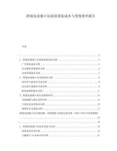 跨境電商獨立站流量獲取成本與變現效率報告