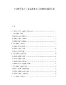 中國野營炊具行業(yè)標(biāo)準(zhǔn)體系與質(zhì)量提升路徑分析