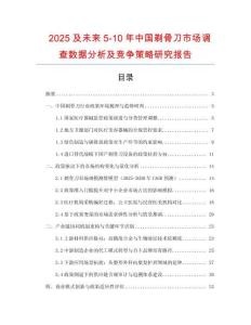 2025及未來5-10年中國剃骨刀市場調查數據分析及競爭策略研究報告