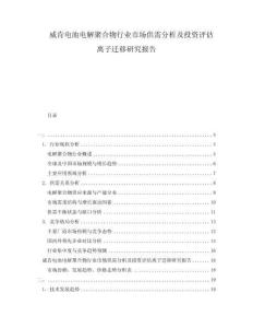 威肯電池電解聚合物行業(yè)市場供需分析及投資評估離子遷移研究報告