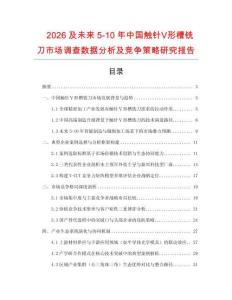 2026及未來5-10年中國觸針Ⅴ形槽銑刀市場調(diào)查數(shù)據(jù)分析及競爭策略研究報(bào)告