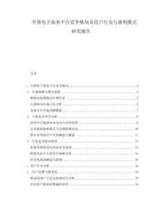 中國電子商務(wù)平臺競爭格局及用戶行為與盈利模式研究報告