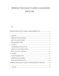 網(wǎng)絡(luò)游戲開發(fā)商電競(jìng)運(yùn)營(yíng)與動(dòng)漫結(jié)合及商業(yè)拓展深度研究文獻(xiàn)