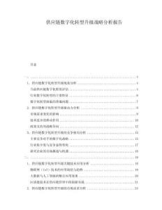 供應(yīng)鏈數(shù)字化轉(zhuǎn)型升級(jí)戰(zhàn)略分析報(bào)告