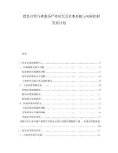 投資合作行業(yè)市場嚴密研究及資本對接與風險控制發(fā)展計劃