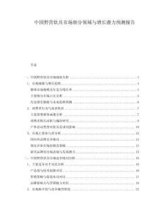 中國(guó)野營(yíng)炊具市場(chǎng)細(xì)分領(lǐng)域與增長(zhǎng)潛力預(yù)測(cè)報(bào)告