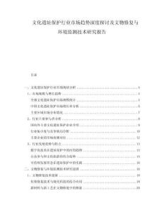文化遺址保護行業市場趨勢深度探討及文物修復與環境監測技術研究報告