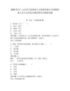 2025四川廣元市青川縣博睿人力資源有限公司招聘派遣人員人員考前自測高頻考點(diǎn)模擬試題有完整答案詳解