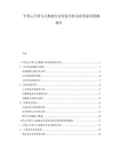 中國云計算與大數(shù)據(jù)行業(yè)發(fā)展分析及投資前景預測報告