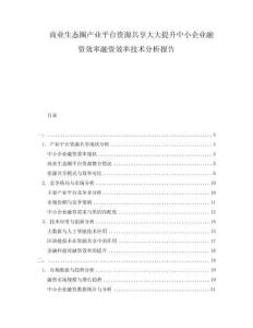 商業(yè)生態(tài)圈產(chǎn)業(yè)平臺資源共享大大提升中小企業(yè)融資效率融資效率技術(shù)分析報告