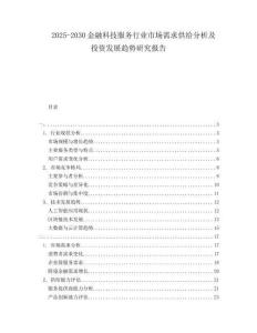 2025-2030金融科技服務(wù)行業(yè)市場需求供給分析及投資發(fā)展趨勢研究報告