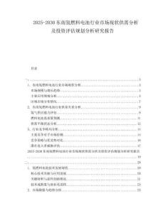 2025-2030東南氫燃料電池行業(yè)市場(chǎng)現(xiàn)狀供需分析及投資評(píng)估規(guī)劃分析研究報(bào)告