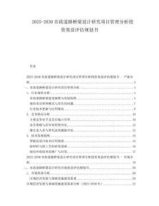 2025-2030市政道路橋梁設計研究項目管理分析投資效益評估規(guī)劃書