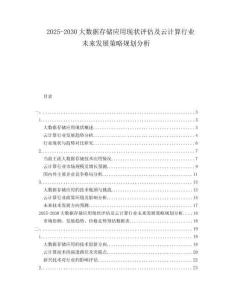 2025-2030大數(shù)據(jù)存儲應(yīng)用現(xiàn)狀評估及云計算行業(yè)未來發(fā)展策略規(guī)劃分析