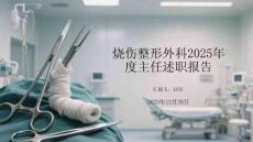 燒傷整形外科2025年度主任述職報告